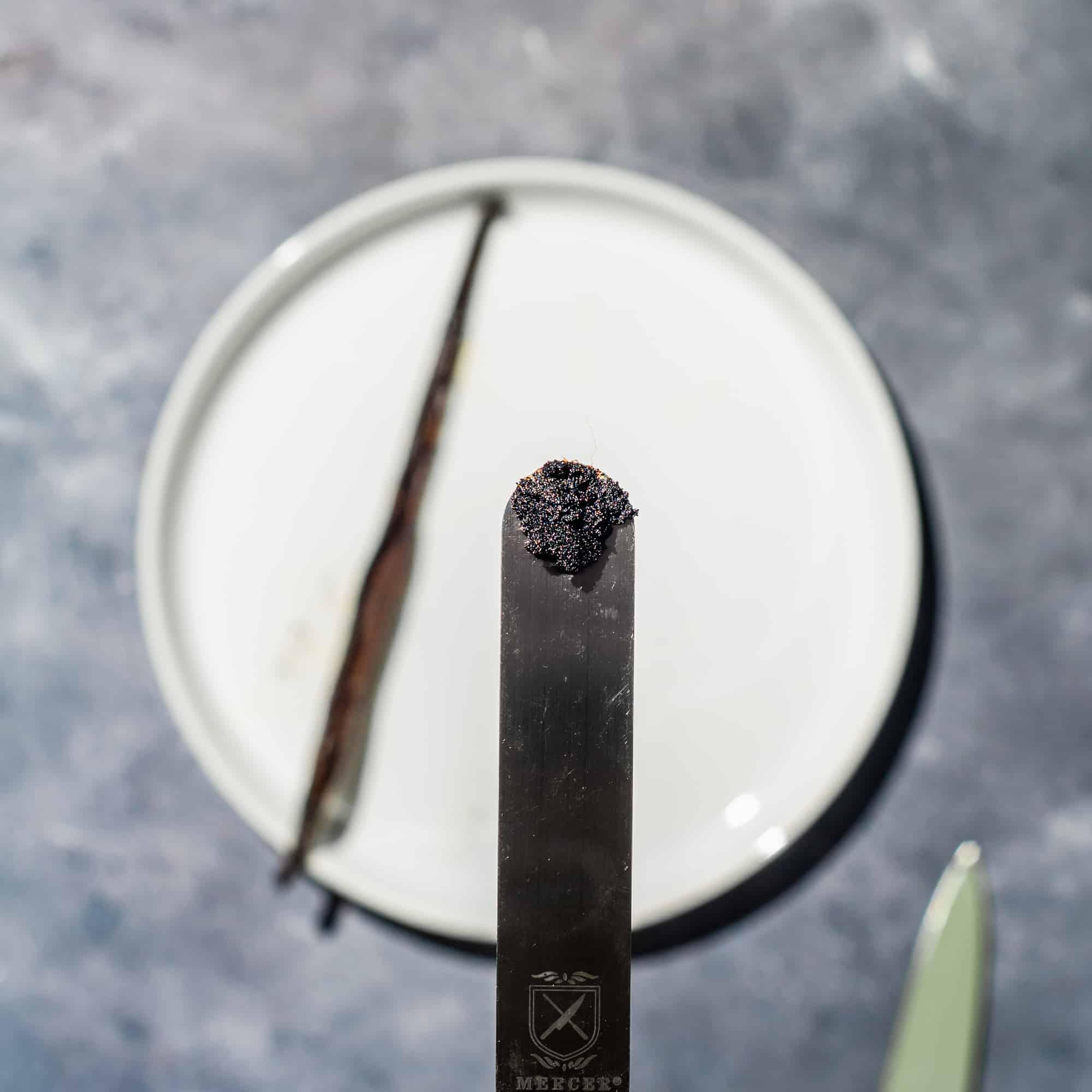 Close up of lots of tiny vanilla beans on the tip of an offset spatula set over a white plate