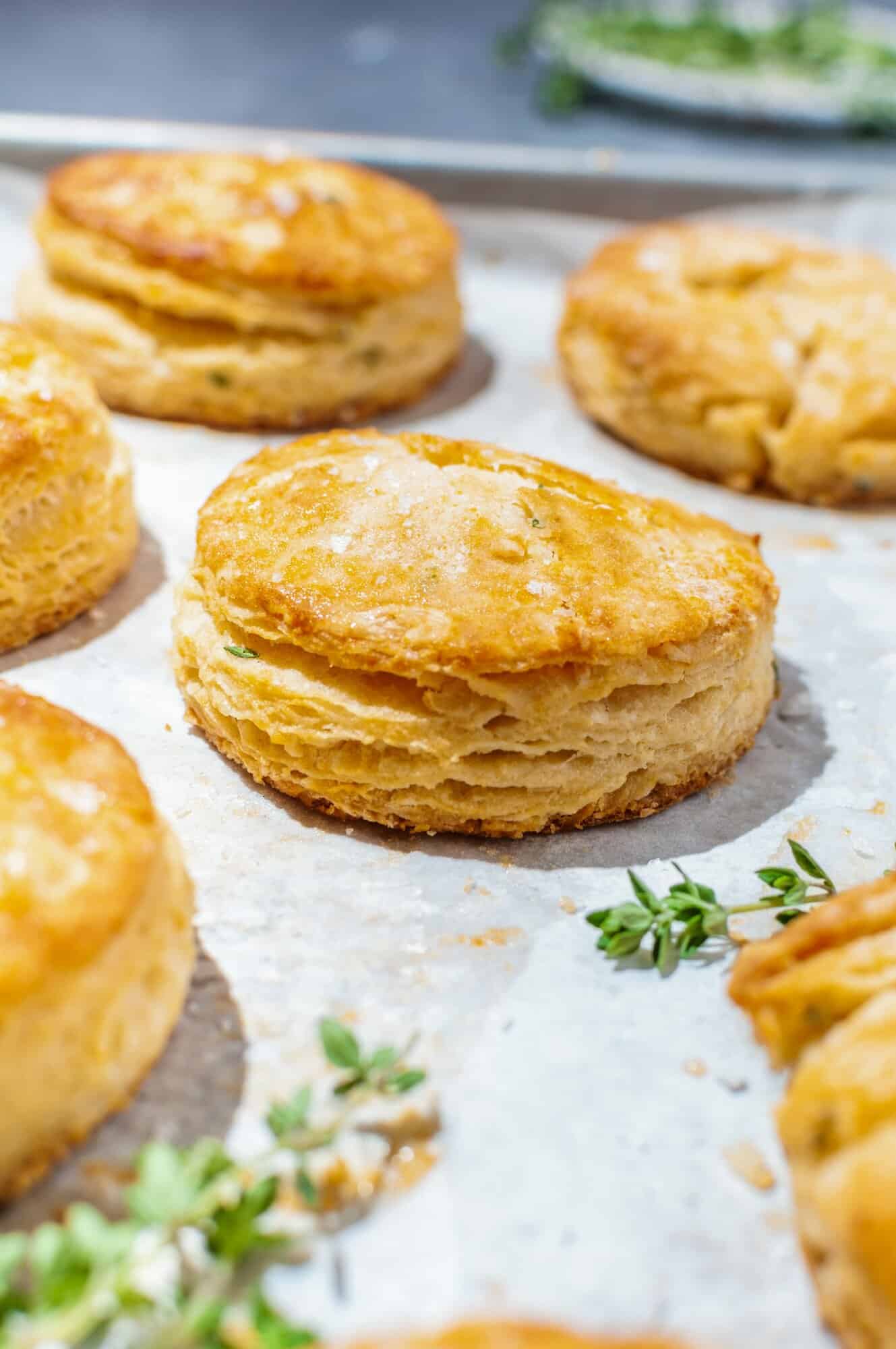 honey butter biscuit with thyme