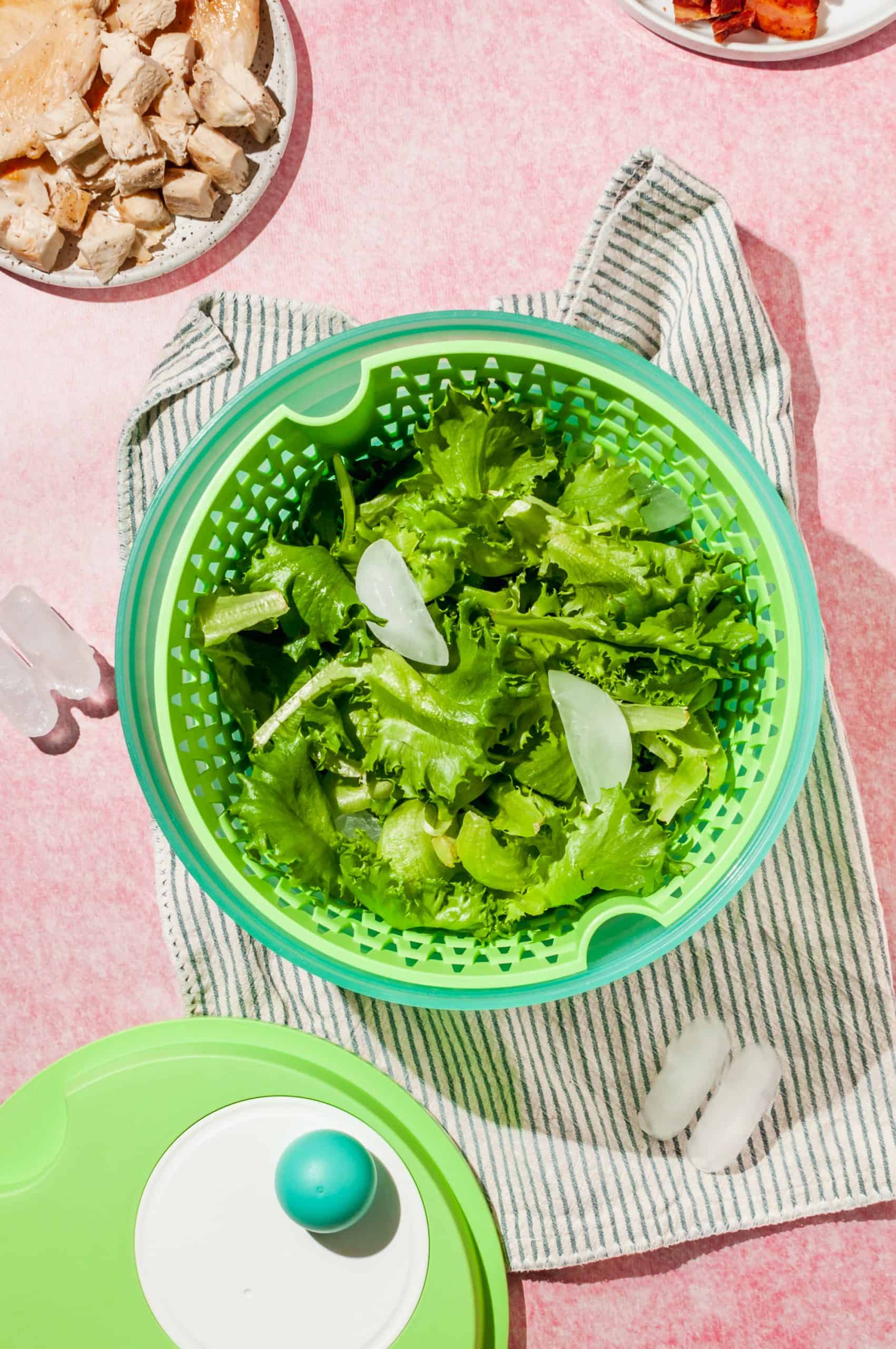 fresh green leaf lettuce in a salad spinner with ice water